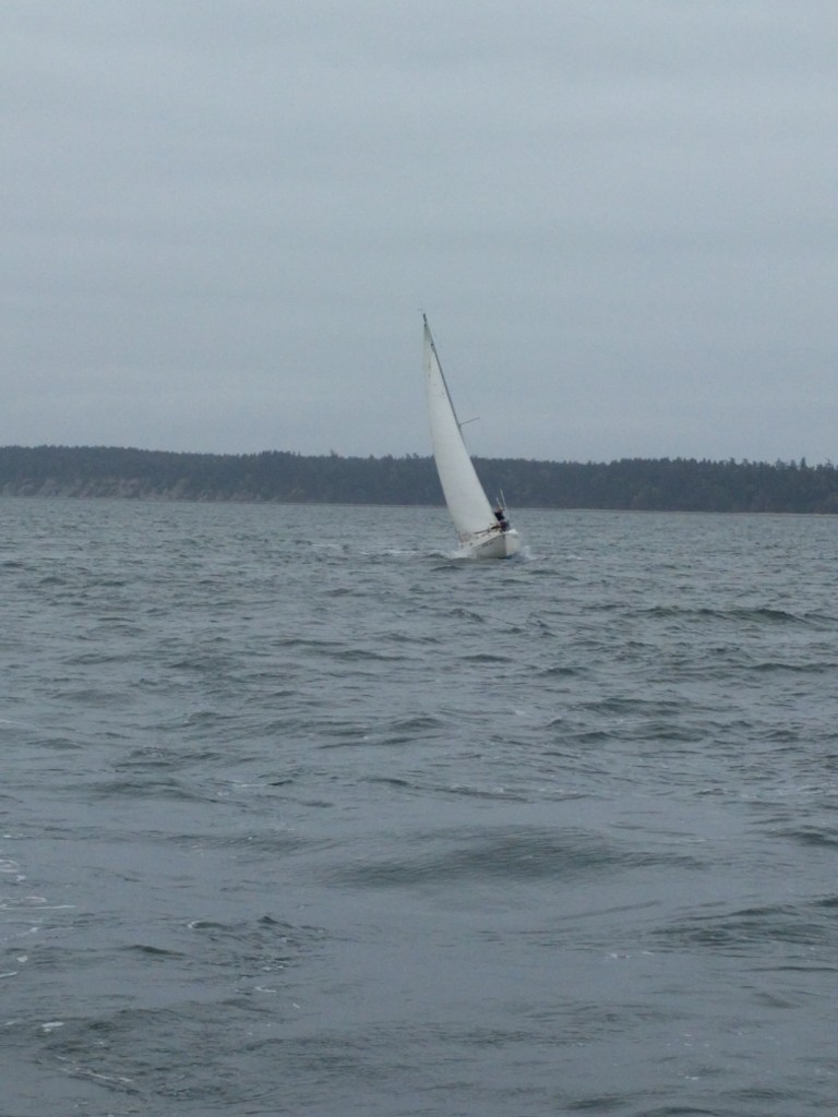 wp-1460491361879.jpg